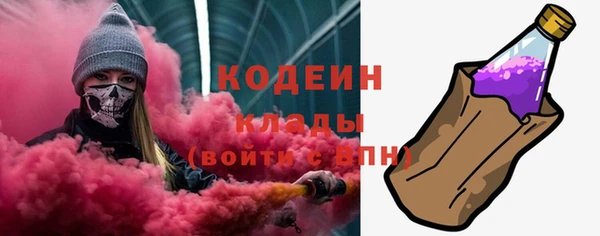 2c-b Инсар