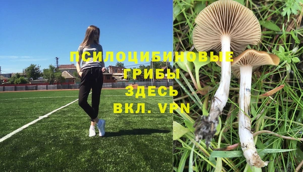 дмт Иннополис