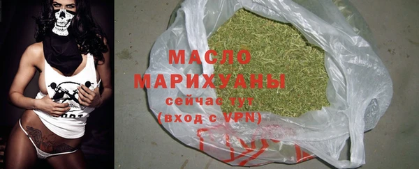 2c-b Инсар