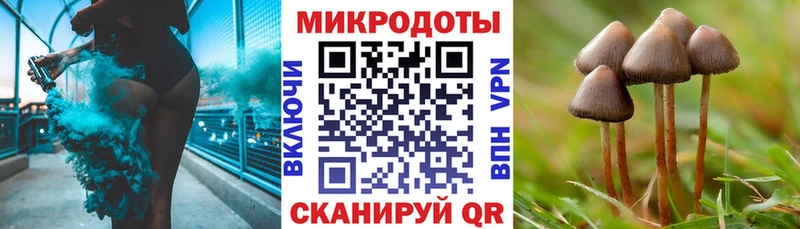 Купить закладки  Междуреченск  Галлюциногенные грибы ЛСД 